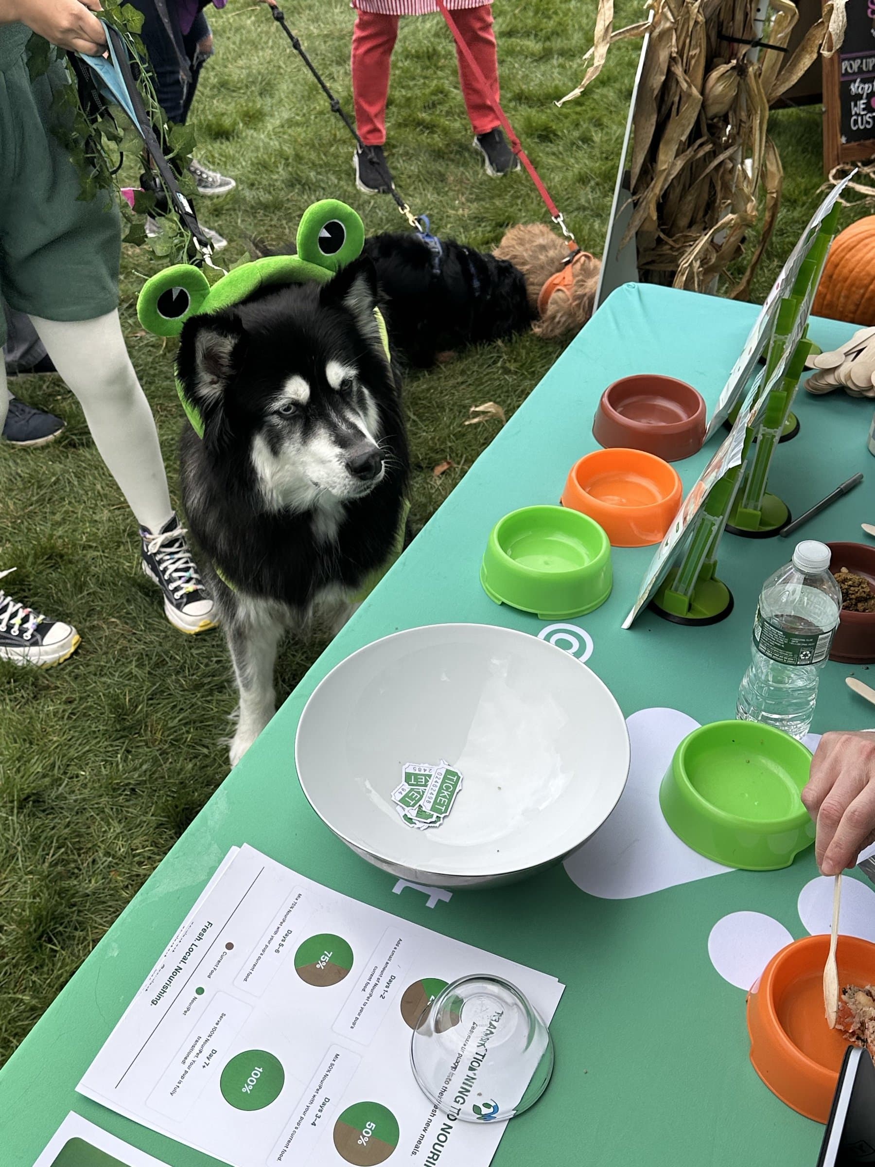 Frog Prince at Howl-o-ween 2025