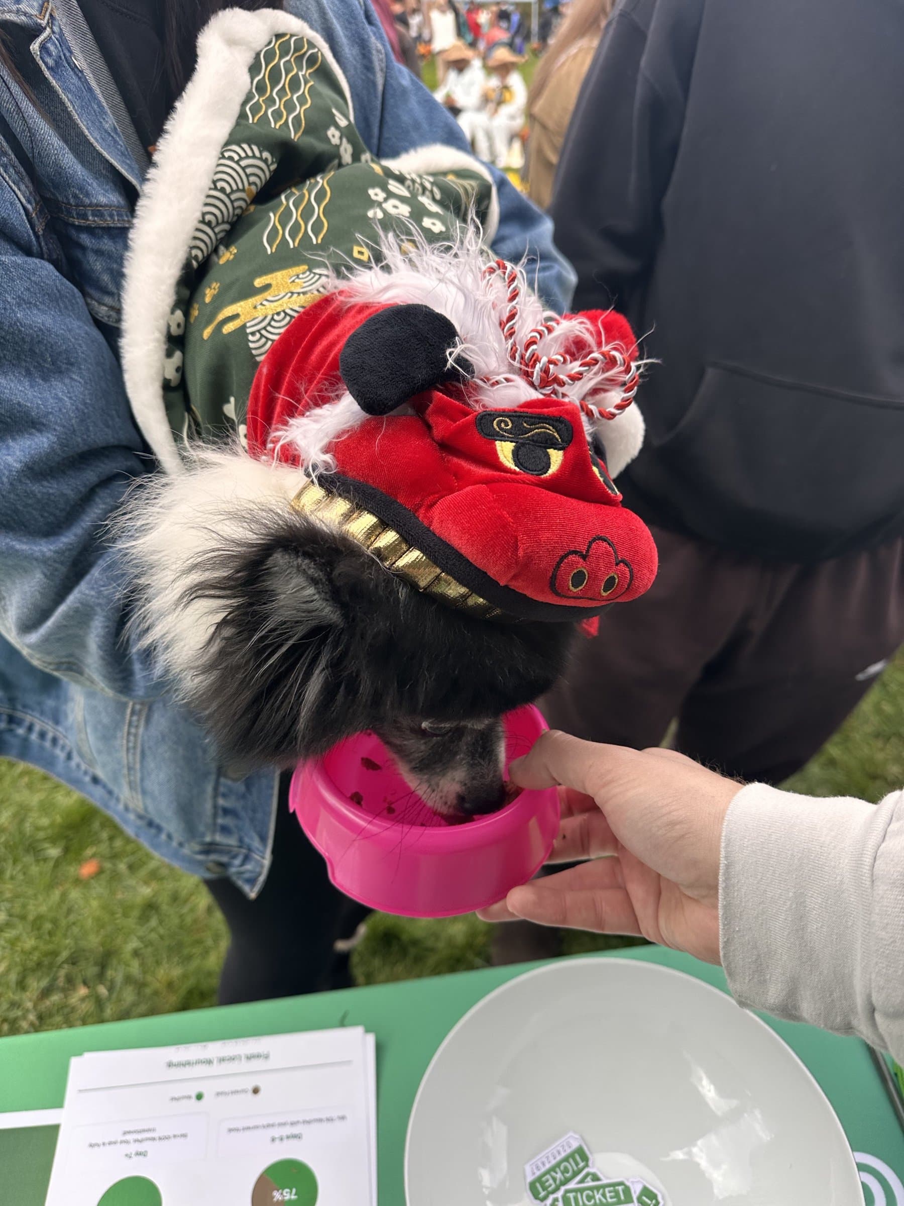 Lil' Lion at Howl-o-ween 2025