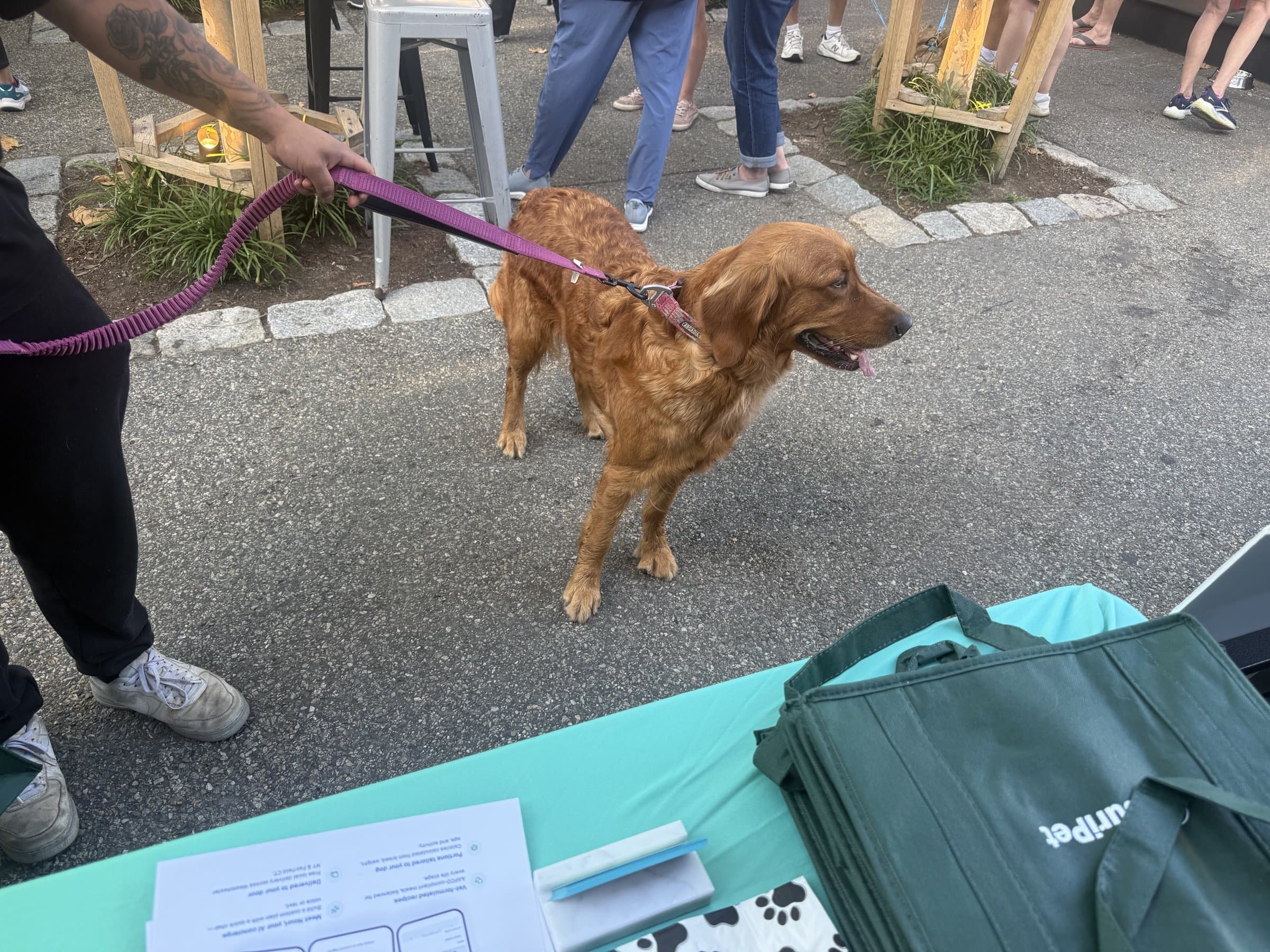 A golden retriever at the NouriPet table